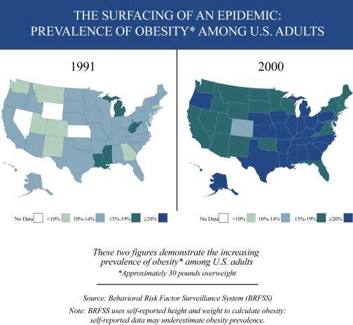 The Surfacing of an Epidemic: Prevalence of Obesity Among US Adults