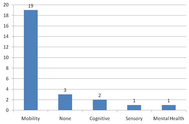 Bar Chart: Mobility (19); None (3); Cognitive (2); Sensory (1); Mental Health (1).