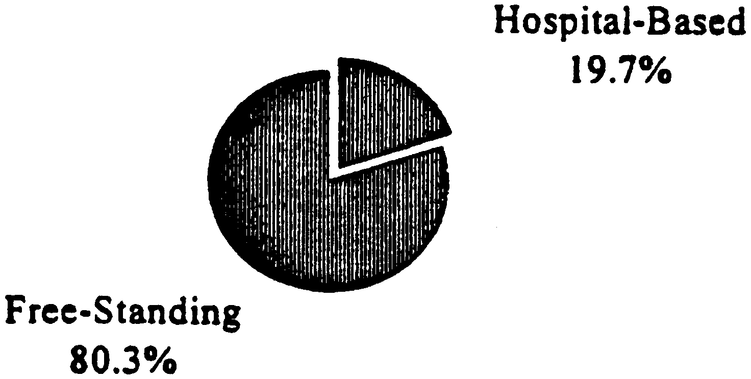 Pie Chart: Hospital-Based and Free-Standing Sub-Acute Units