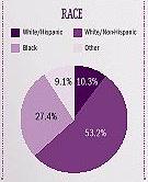 Pie Chart 2: RACE -- White/Hispanic (10.3%), White/Non-Hispanic (53.2%), Black (27.4%), Other (9.1%).