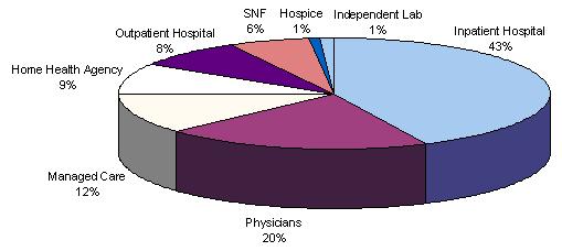 Pie Chart: Physicians (20%); Managed Care (12%); Home Health Agency (9%); Outpatient Hospital (8%); SNF (6%); Hospice (1%); Independent Lab (1%); and Inpatient Hospital (43%).