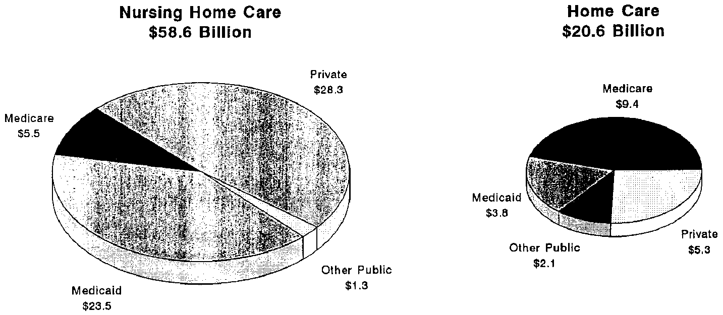 Pie Chart: National Long-Term Care Expenditures for the Elderly: 1993