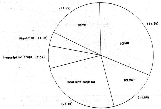 Pie Chart: Other (17.4%); ICF-MR (31.5%); ICF/SNF (14.8%); Inpatient Hospital (25.1%); Prescription Drugs (7%); Physician (4.2%).
