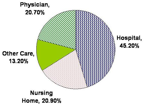 Pie Chart: Hospital 45.2%, Physician 20.7%, Nursing Home 20.9%, Other Care 13.2%