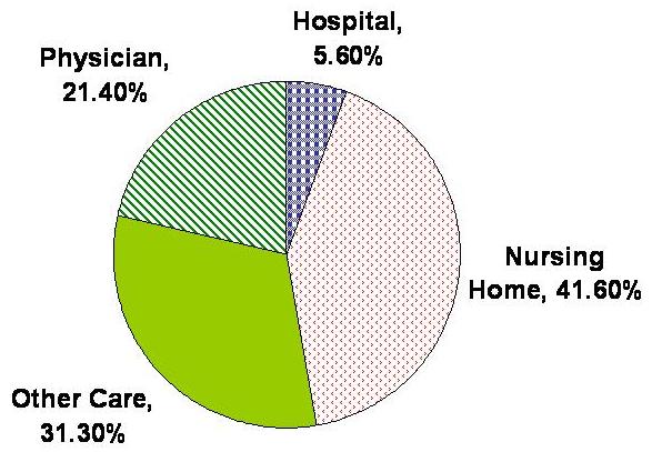 Pie Chart: Hospital 5.6%, Physician 21.4%, Nursing Home 41.6%, Other Care 31.3%