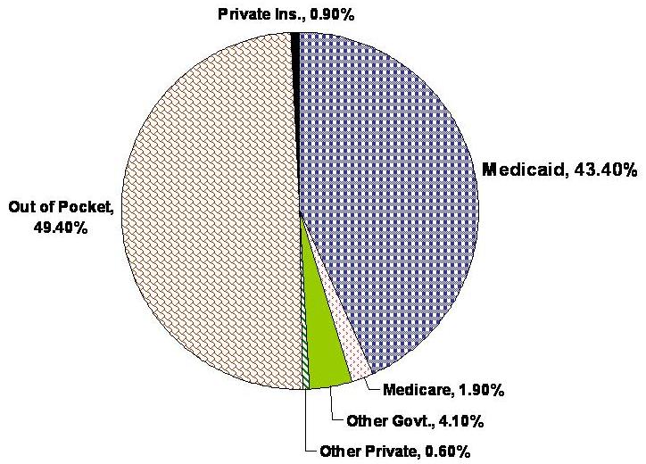 Pie Chart: Out of Pocket 49.4%, Private Insurance 0.9%, Medicaid 43.4%, Medicare 1.9%, Other Government 4.1%, Other Private 0.6%