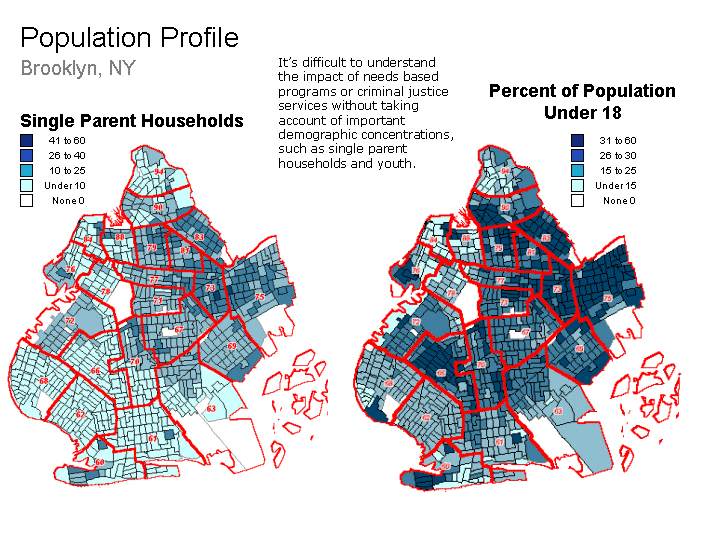 Population Profile, Brooklyn, NY, Single Parent Households and Percent Population Under 18.