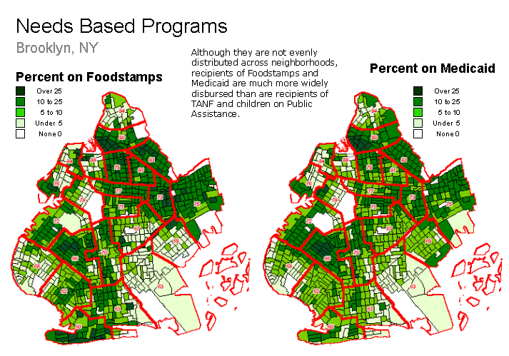 Needs Based Programs, Brooklyn, NY, Percent on Food Stamps and Percent on Medicaid.