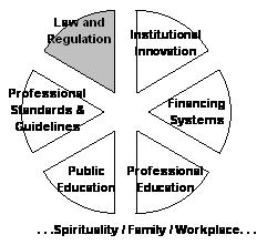 Equally sectioned pie chart: Shaded slice -- Law and Regulation; slice -- Institutional Innovation; slice -- Financing Systems; slice -- Professional Education; slice -- Public Education; slice -- Professional Standards and Guidelines.  Below chart: ...Spi