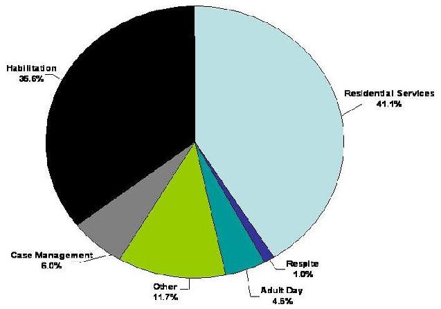Pie Chart: Case Management (6%); Habilitation (35.6%); Residential Services (41.1%); Respite (1%); Adult Day (4.6%); Other (11.7%).