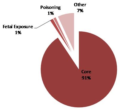 This is a pie chart displaying the distribution of expenditures fully attributable to SA by type. The shares are:  core 90.8 percent, fetal exposure 6.9 percent, poisoning 1.3 percent and other 1.0 percent.