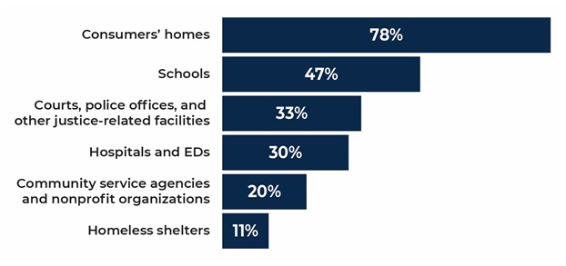FIGURE ES.2, Bar Chart: Consumers' homes 78%; Schools 47%; Courts, police offices, and other justice-related facilities 33%; Hospitals and EDs 30%; Community service agencies and non-profit organizations 20%; Homeless shelters 11%.