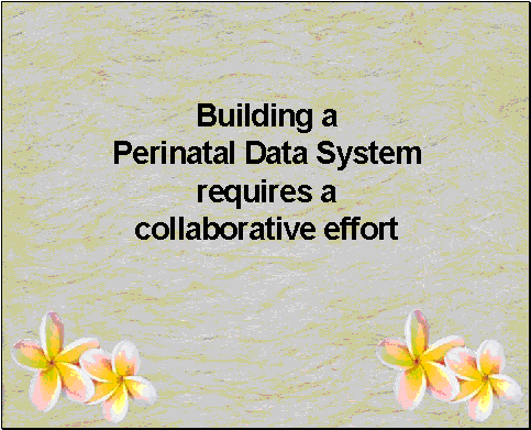 Building a Perinatal Data System requires a collaborative effort