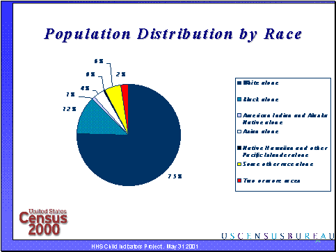 Population Distribution by Race