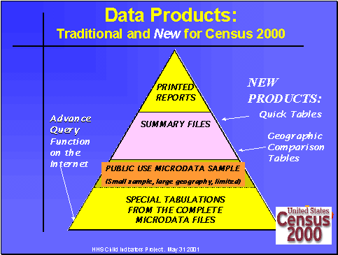 Data Products: Traditional and New for Census 2000