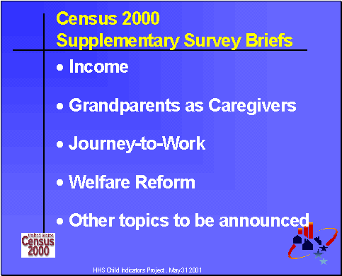 Census 2000 Supplementary Survey Briefs