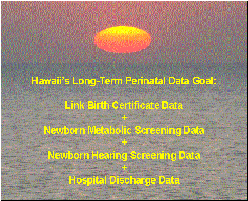 Hawaii's Long-term Perinatal Data Goal
