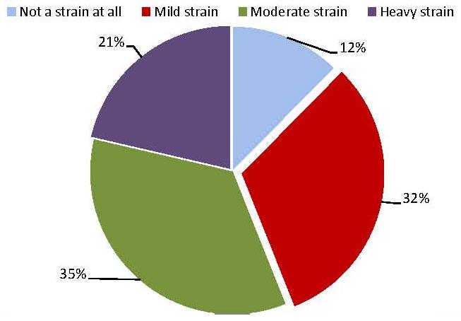 Pie Chart: Not a strain at all (12%); Mild strain (32%); Moderate strain (35%); Heavy strain (21%).