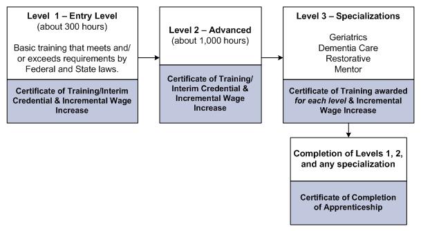 Level 1 - Entry Level (about 300 hours). Basic training that meets and/or exceeds requirements by federal and state laws. Certificate of Training/Interim Credential & Incremental Wage Increase. Level 2 - Advanced (about 1,000 hours). Certificate of Training/Interim Credential & Incremental Wage Increase. Level 3 - Specializations. Geriatrics, Dementia Care, Restorative, Mentor. Certificate of Training awarded for each level & Incremental Wage Increase. Completion of Levels 1, 2, and any specialization. Certificate of Completion of Apprenticeship.