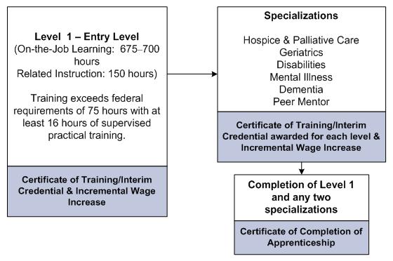 Level 1 - Entry Level (on-the-job learning: 675-700 hours; related instruction: 150 hours): Training exceeds federal requirements of 75 hours with at least 16 hours of supervised practical training. Certificate of Training/Interim Credential & Incremental Wage Increase. Specializations: Hospice & Palliative Care; Geriatrics; Disabilities; Mental Illness; Dementia; Peer Mentor. Certificate of Training/Interim Credential awarded for each level & Incremental Wage Increase. Completion of Level 1 and any two specialiations leads to Certificate of Completion of Apprenticeship.