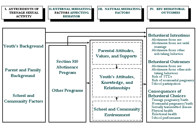 Figure 5. Conceptual Framework for Evaluating Abstinence Education Programs.