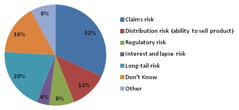 Pie Chart: Claims risk (32%); Distribution risk (12%); Regulatory risk (8%); Interest and lapse risk (4%); Long-tail risk (20%); Don't Know (16%); Other (8%).