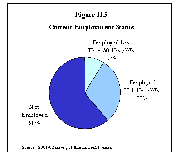 Figure II.5. Current Employment Status.
