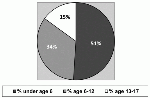 Figure 2:  Age Distribution of Homeless Chlidren, HUD HMIS Annual Data
