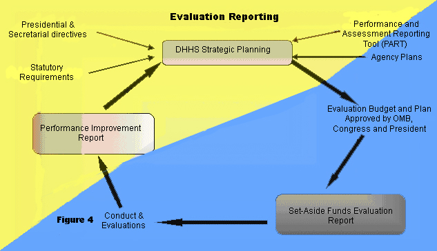 Evaluation Reporting