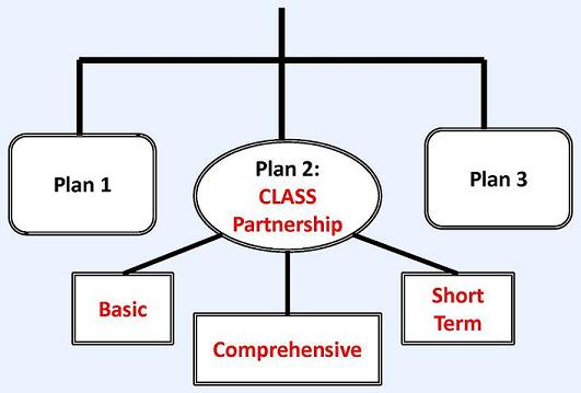 Flow Chart: CLASS Independence Benefit Plan leads to Plan 1, Plan 2: CLASS Partnership, and Plan 3. Plan 2 leads to Basic, Comprehensive and Short Term.