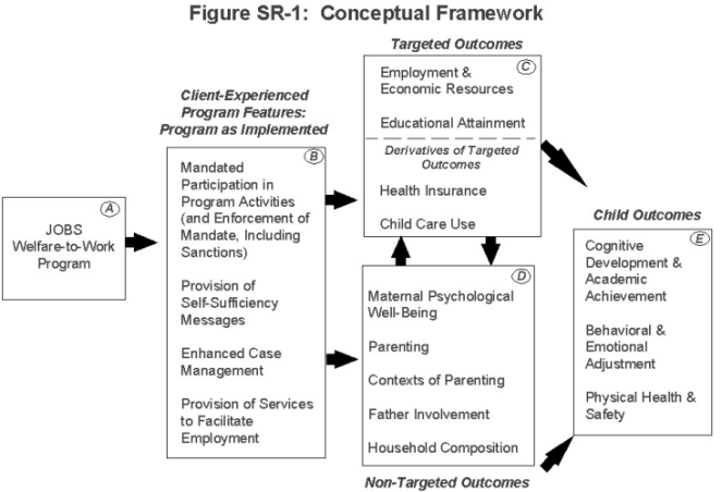 Figure SR-1. Conceptual Framework.