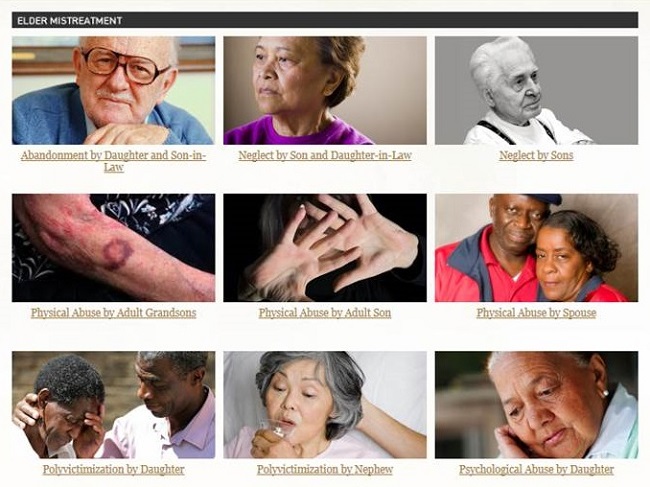 Screen shot of the DoJ Elder Justice Initiative website, Elder Mistreatment page.