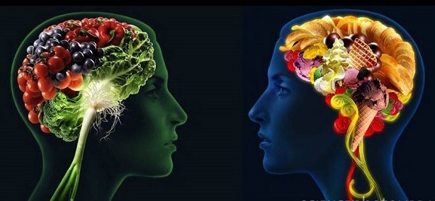 Photo of two heads. One brain made of fruits and vegetables; one brain made of snack food.