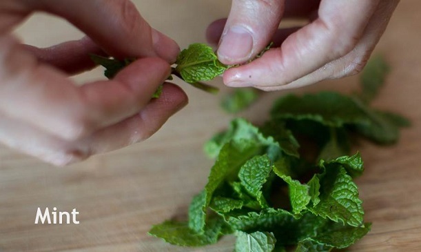 Photo of mint leaves.