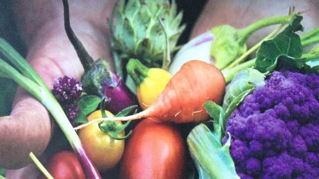 Photo of two hands full of fresh vegetables.