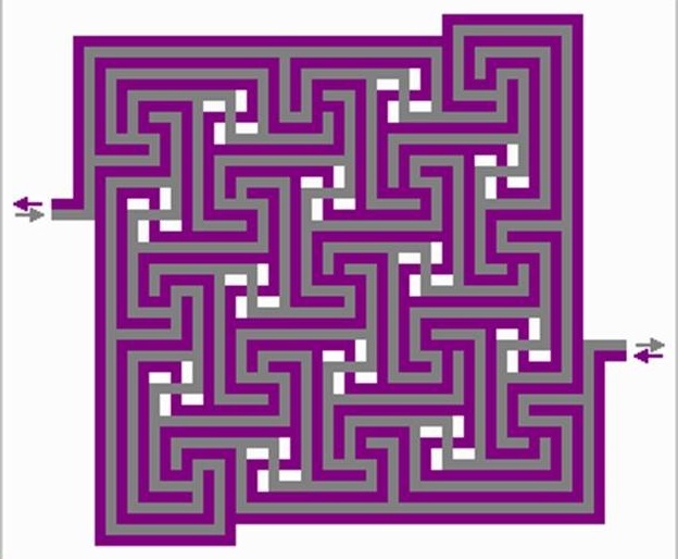 A picture of a maze.
