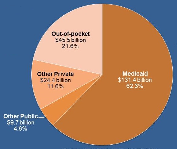 Pie Chart: Out-of-pocket ($45.5 billion, 21.6%); Other Private ($24.4 billion, 11.6%); Other Public ($9.7 billion, 4.6%); Medicaid ($131.4 billion, 62.3%).