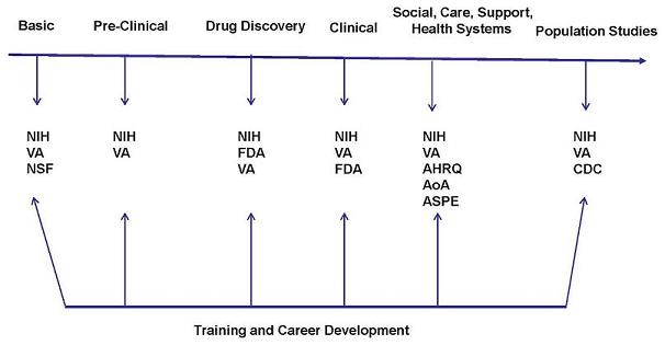 Flow Chart: Basic leads to NIH, VA, NSF; Pre-Clinical leads to NIH, VA; Drug Discovery leads to NIH, FDA, VA; Clinical leads to NIH, VA, FDA; Social, Care, Support, Health Systems leads to NIH, VA, AHRQ, AoA, ASPE; Population Studies leads to NIH, V, CDC. Training and Career Develop leads to each group (Basic; Pre-Clinical; Drug Discovery; Clinical; Social, Care, Support, Health Systems; Population Studies).