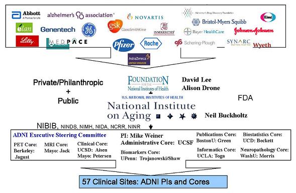 Logos of Companies in ADNI Partnership: Abbott; elan; Lilly; Alzheimer's Association; Genentech; GE; MEDPACE; GSK; Pfizer; Novartis; Innogenetics; Roche; AstraZeneca; Alzheimer's Drug Discovery Foundation; Bristol-Myers Squibb; Bayer HealthCare; Schering-Lough; Synarc; Wyeth; Johnson&Johnson; Eisai; Foundation for the National Institutes of Health.