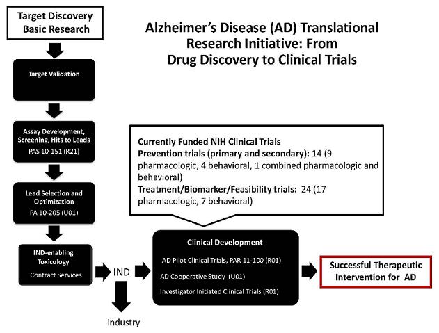 Flow Chart: Target Discovery Basic Research; leads to Target Validation; leads to Assay Development, Screening Hits to Leads PAS 10-151 (R21); leads to Lead Selection and Optimization PA 10-205 (U01); leads to IND-enabling Toxicology Contract Services; leads to IND; leads to Clinical Development -- AD Pilot Clinical Trials, PAR 11-100 (R01), AD Cooperative Study (U01), Investigator Initiated Clinical Trials (R01); leads to Successful Therapeutic Intervention for AD. IND also leads to Industry. Currently Funded NIH Clinical Trials -- Prevention trials (primary and secondary): 14 (9 pharmacological, 4 behavioral, 1 combined pharmacologic and behavioral), Treatment/Biomarker/Feasibility trials: 24 (17 pharmacologic, 7 behavioral); leads to Clinical Development.