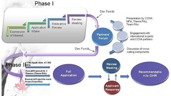 Process Chart: Phase I -- Expression of Interest; leads to Application Intake; leads to Relevance Review; leads to Review Meeting; leads to Dev. Funds; leads to Partners' Forum (Presentation by CCNA NPA, Theme PAs, Team PAs; Engagement with international experts and CCNA partners; Discussion of cross-cutting components); leads to Dev. Funds. Phase II -- CCNA Application (CCNA NPA) and Overall Proposal for 3 Themes (Theme PAs) and Research Project for each Team (Team PAs); leads to Full Application; leads to Review Meeting and/or Applicant Response; leads to Recommendation to CIHR.