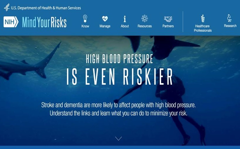 Mind Your Risks Home Page screen shot.