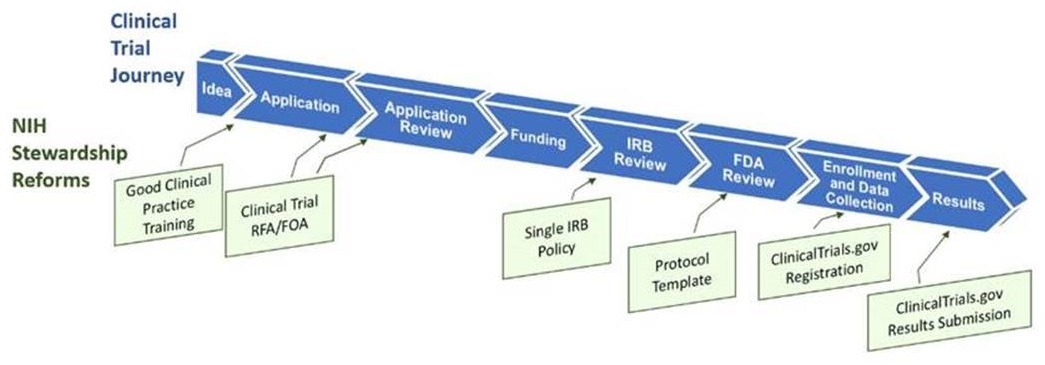 Clinical Trial Journey with NIH Stewardship Reforms.