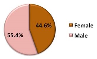 Pie Chart: Female (44.6%), Male (55.4%).