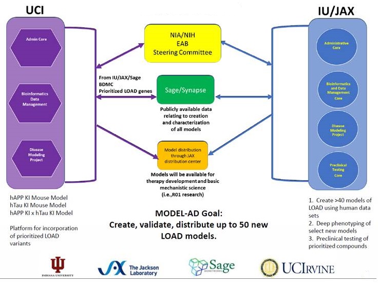 Complicated diagram discussing UCI and IU/JAX. Listen to session video for explanation.