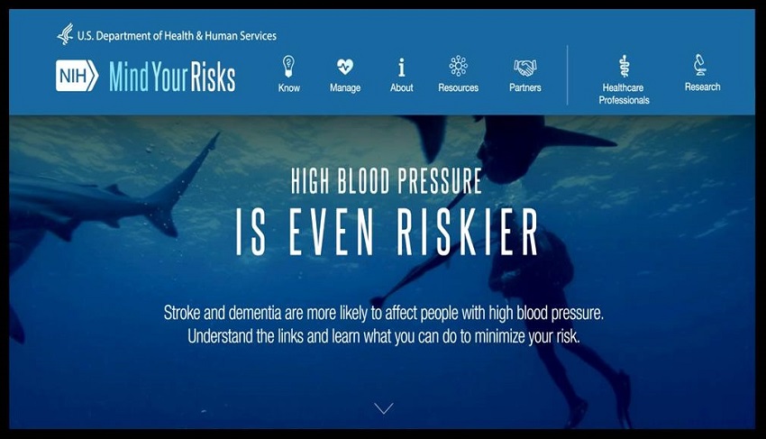 Mind Your Risks website screen shot.