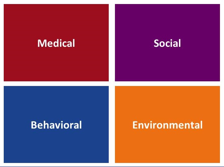 Four squares: Medical, Social, Behavioral, Environmental