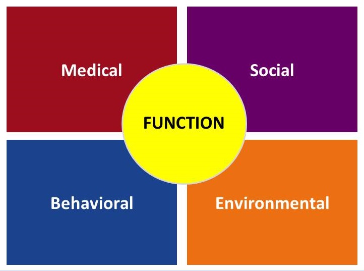 Four squares: Medical, Social, Behavioral, Environmental. A circle covers the joining corners: Function.