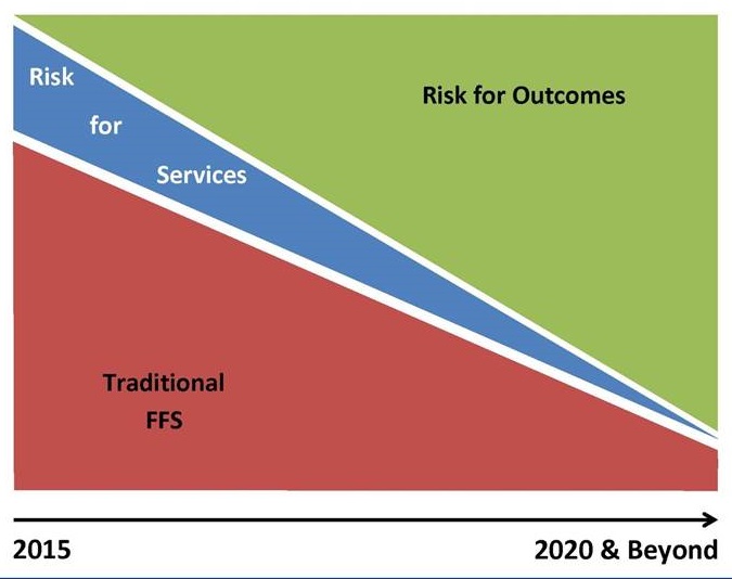Area chart showing Risk for Outcomes, Risk for Services, Traditional FFS.