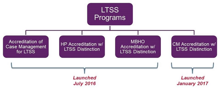 Organization Chart: Top--LTSS Programs; Second--(1)Accreditation of Case Management for LTSS, (2)HP Accreditation w/ LTSS Distinction, (3)MBHO Accreditation w/ LTSS Distinction, (4)CM Accreditation w/ LTSS Distinction. #1,2,3 were launched July 2016; #4 was launched January 2017.